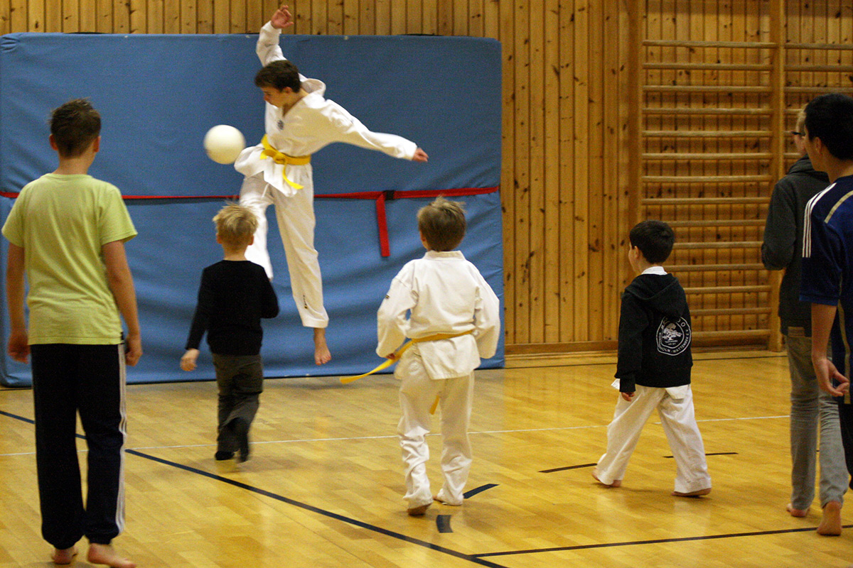 Bushido-Sportler haben Spaß!