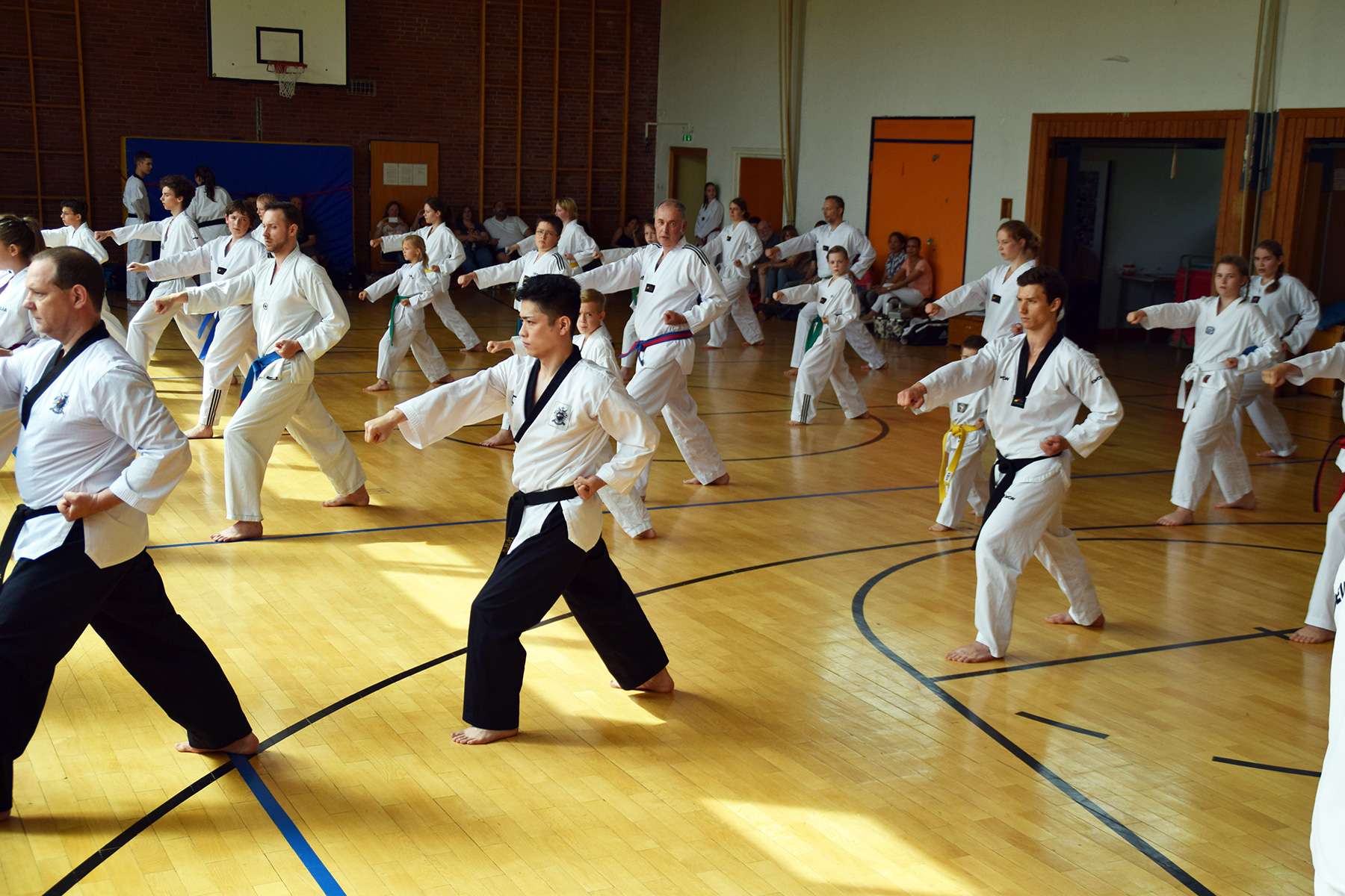 Volle Halle beim TVSH-Breitensportlehrgang Poomsae.